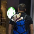 Woolala Lightweight Pet Carrier Backpack for Small and Medium Dogs, Blue, M