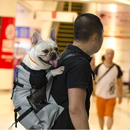 Woolala Lightweight Pet Carrier Backpack for Small and Medium Dogs, Grey, Size S-1