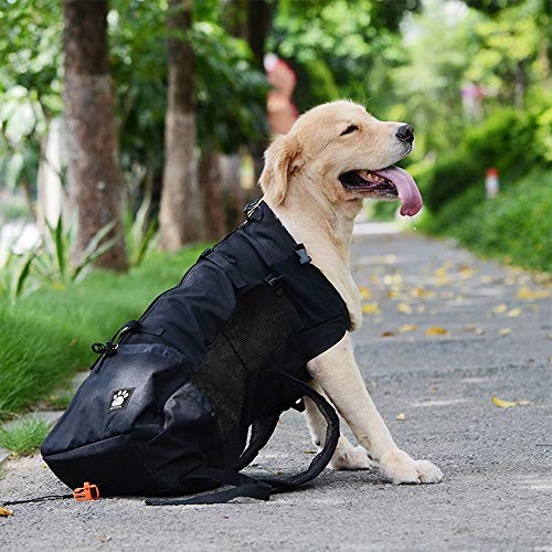 Woolala Upgraded Light Weight Pet Carrier Backpack for Small and Medium Dogs, L, Black-3