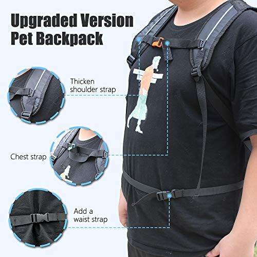 Woolala XL Upgraded Black Light Weight Pet Carrier Backpack for Small and Medium Dogs-1