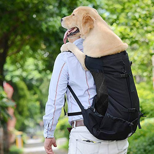 Woolala XL Upgraded Black Light Weight Pet Carrier Backpack for Small and Medium Dogs-2
