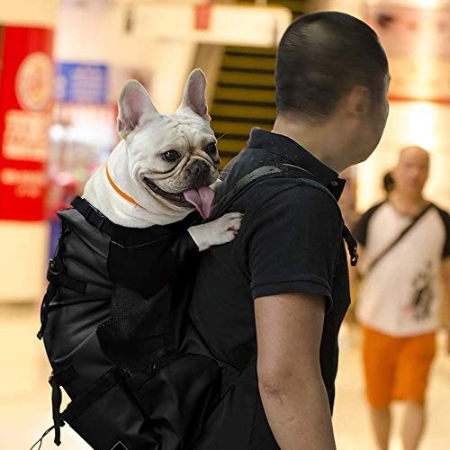 Woolala XL Upgraded Black Light Weight Pet Carrier Backpack for Small and Medium Dogs-6