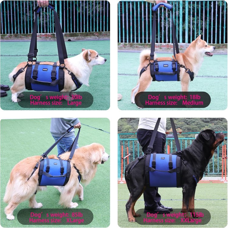 Dog Carry Sling & Emergency Backpack - Pet Leg Support & Rehab Harness for Senior Dogs, Arthritis, Joint Injuries, Nail Trimming (Blue, L) - Image 4